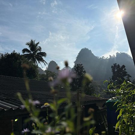 Khao Sok National Park Khao Sok Backpacker Hostel מראה חיצוני תמונה