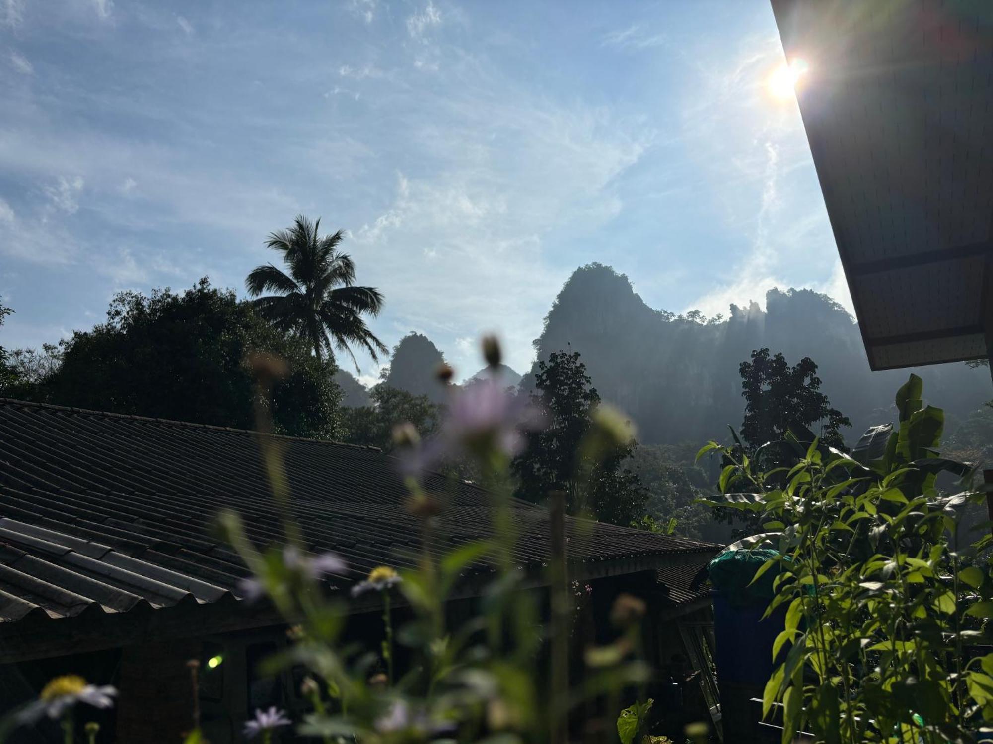 Khao Sok National Park Khao Sok Backpacker Hostel מראה חיצוני תמונה